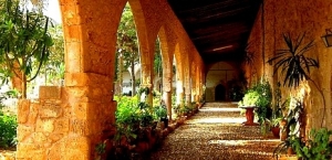 &Pi;ά&sigma;&chi;&alpha; &sigma;&tau;&eta;&nu; &Kappa;&Upsilon;&Pi;&Rho;&Omicron;&Sigma;- &Pi;ά&phi;&omicron;&sigmaf;  - 5 &mu;έ&rho;&epsilon;&sigmaf; &alpha;&pi;ό 589*&euro;